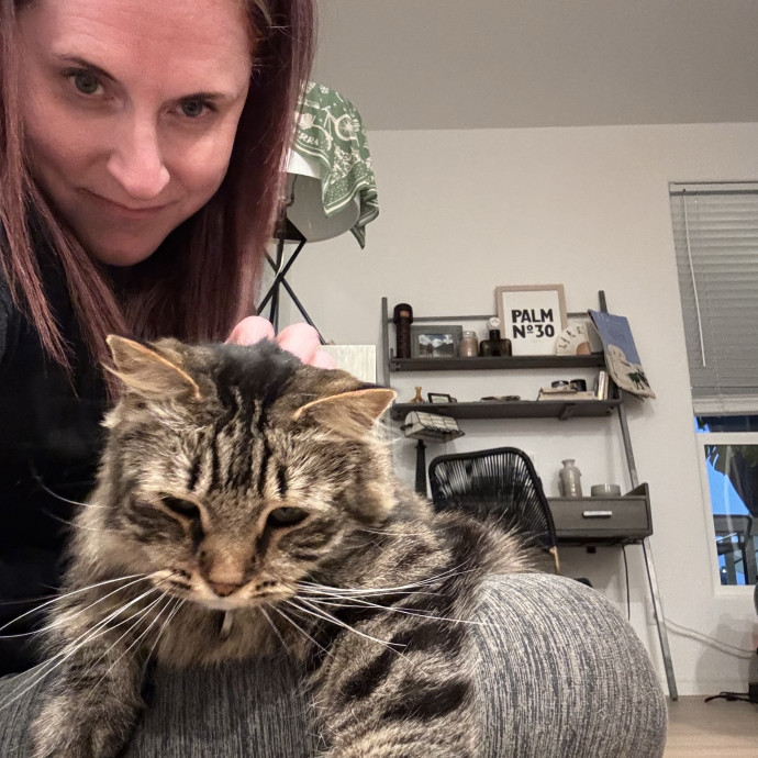 Your Kitty's New Bestie