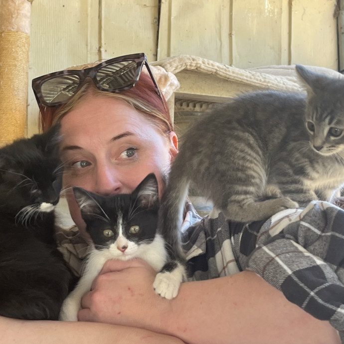 Your Kitty's New Bestie photo 2