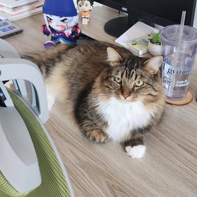 Ingri Catmother Of 2