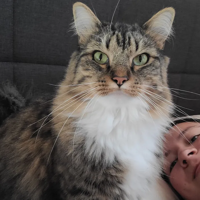 Ingri Catmother Of 2
