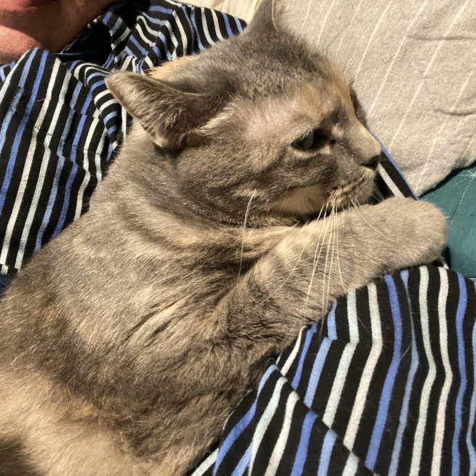 Cat Whisperer