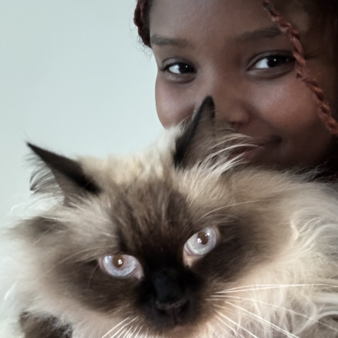 Your Cats Next Best Friend