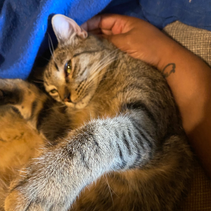 Kitty Love With Lo In Dc photo 2