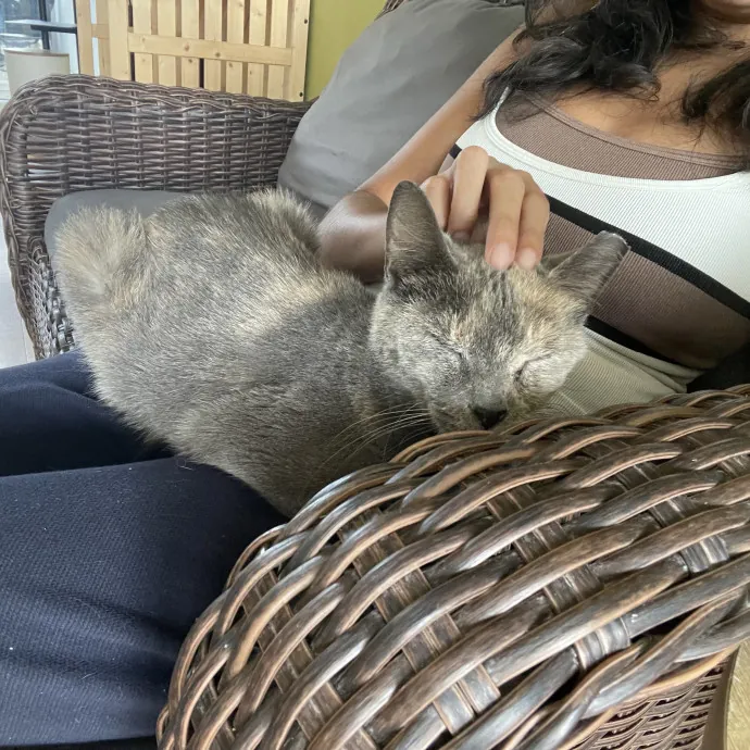 Luna A.