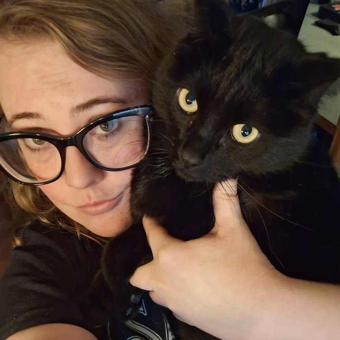 Brittany's Kitty Sitting Service photo 2