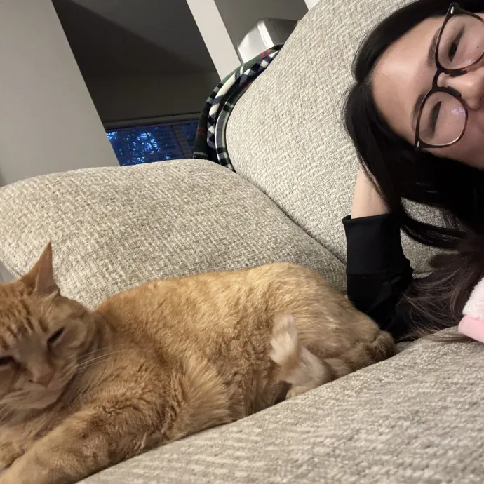 Senior Cat Tested Senior Cat Approved