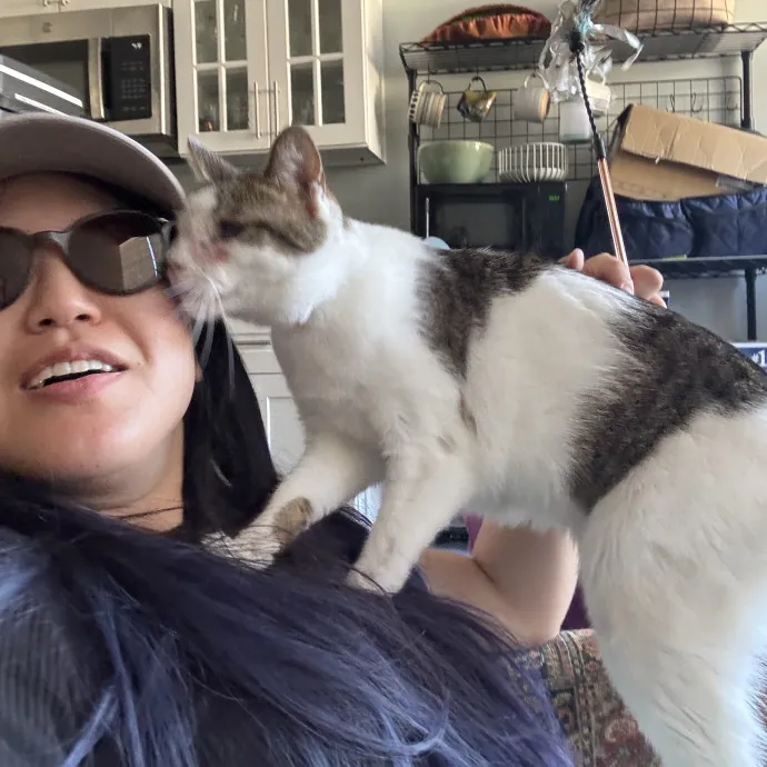 Senior Cat Tested Senior Cat Approved