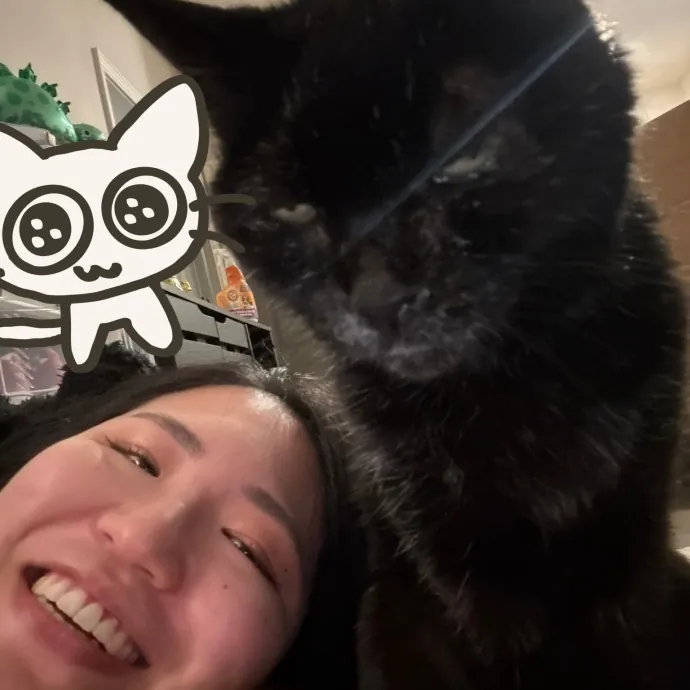 Your Purrfect Local Cat Sitter