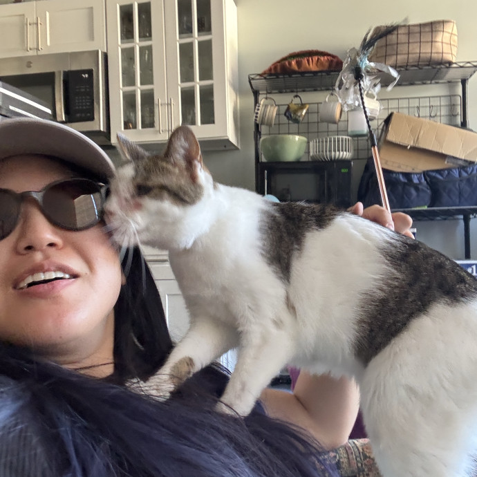 Your Purrfect Local Cat Sitter