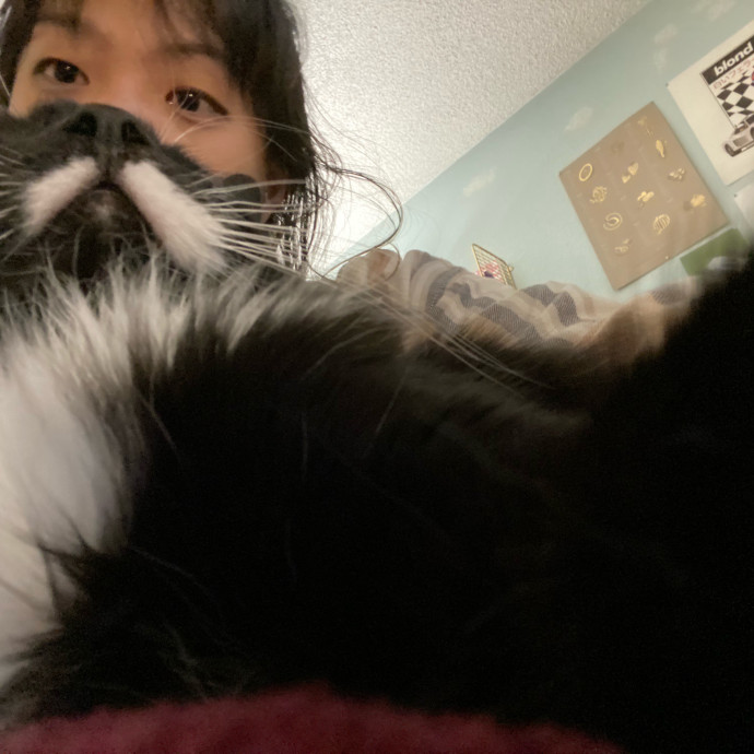 Cynthia's Cat-Tastic Care photo 3