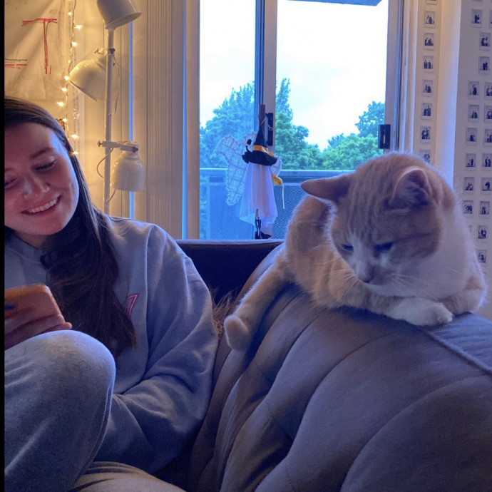 Lifetime Caring Cat Lover And Owner