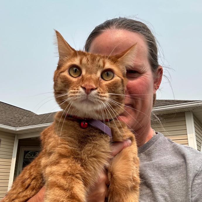 Crazy Cat Lady In Cicero