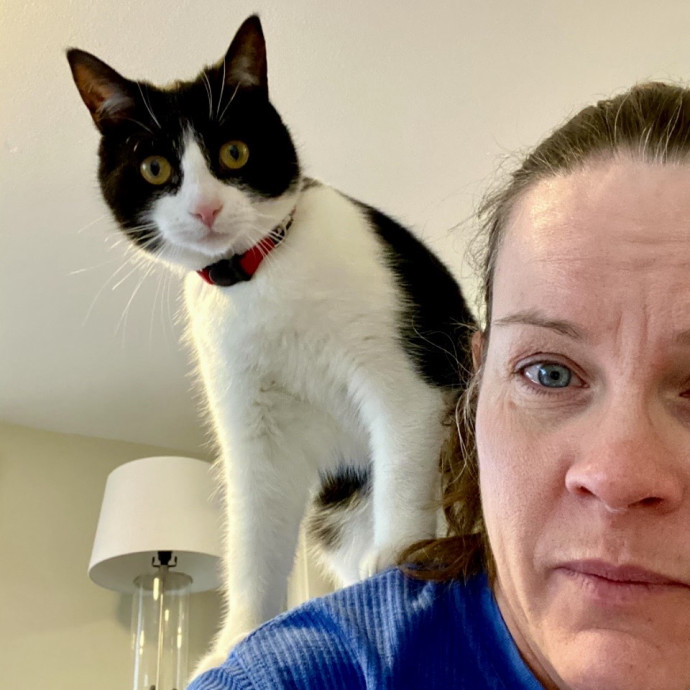 Crazy Cat Lady In Cicero photo 2