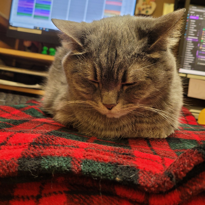 Gentle Cat Care