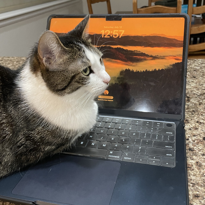 Noco Cat Sitter
