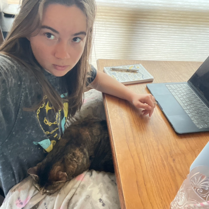 Noco Cat Sitter