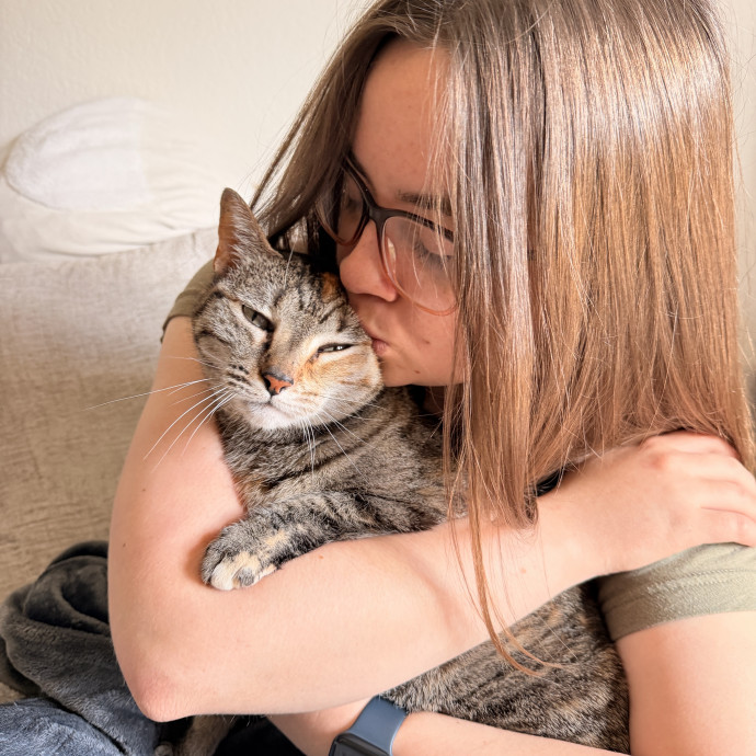 Noco Cat Sitter