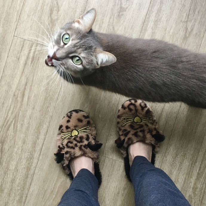I'm A Cat Lady With No Cats Of My Own