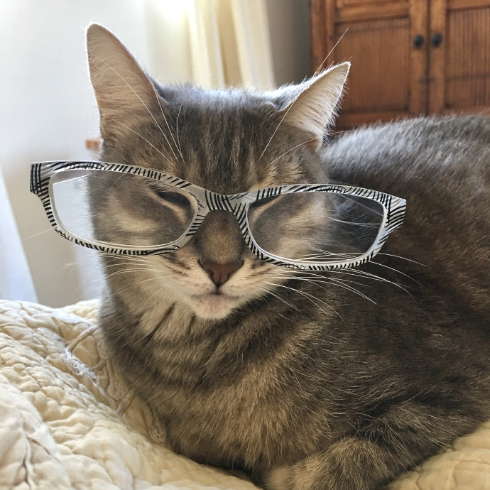 I'm A Cat Lady With No Cats Of My Own