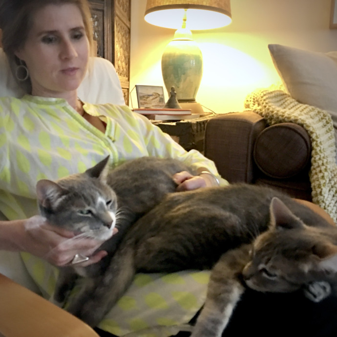 I'm A Cat Lady With No Cats Of My Own