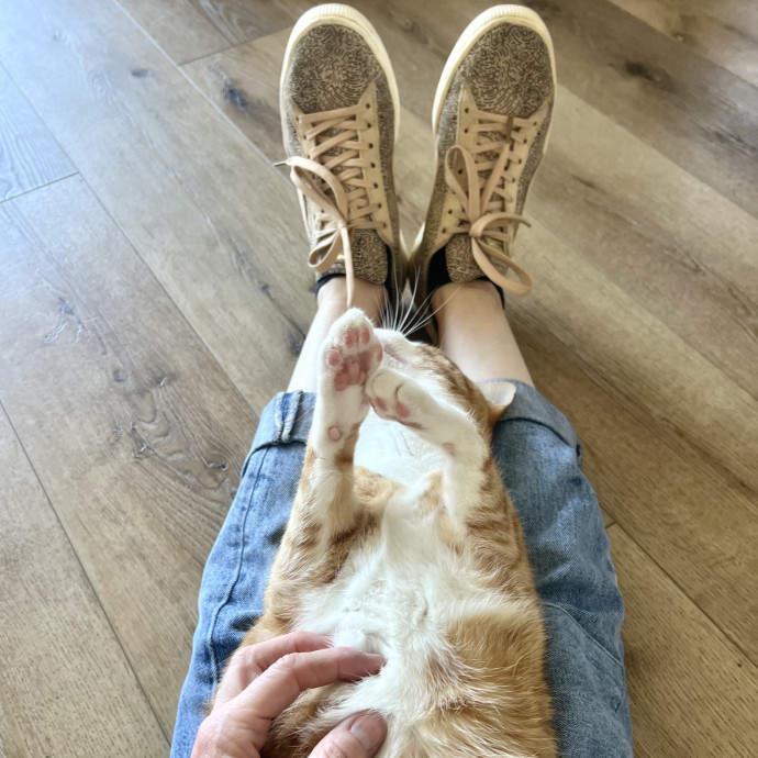 I'm A Cat Lady With No Cats Of My Own photo 3