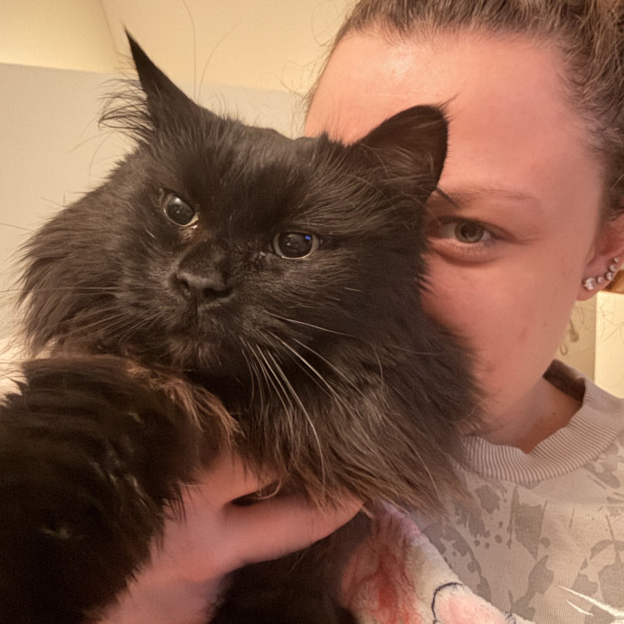 Your Cats Calm And Caring Sitter photo 3