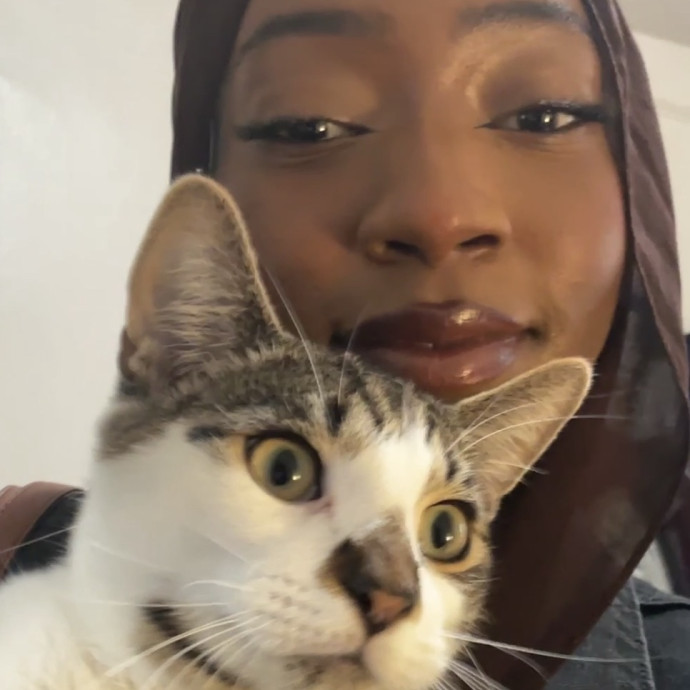 Purr-Sonal Assistant To Your Cat photo 2