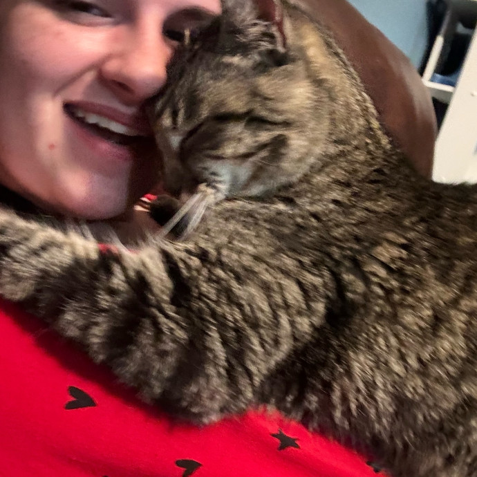 Taylor's Catcare