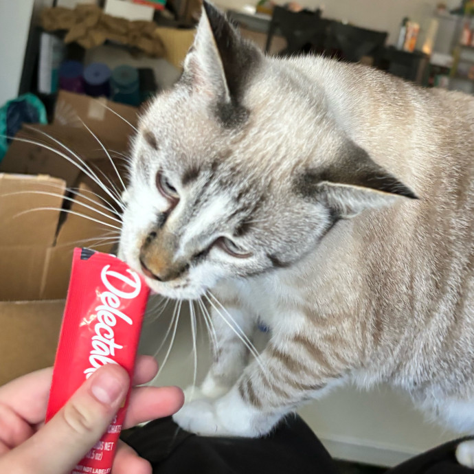 Taylor's Catcare