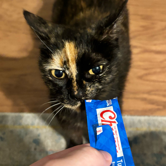Taylor's Catcare