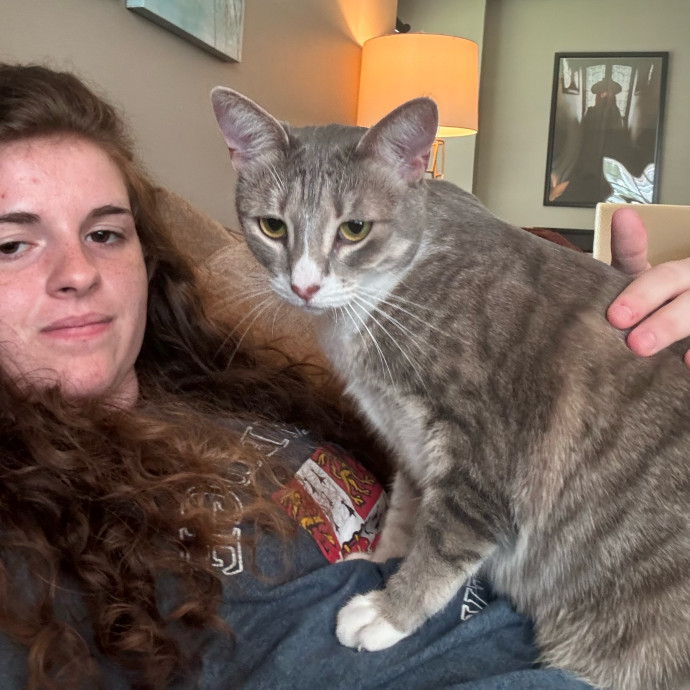 Taylor's Catcare