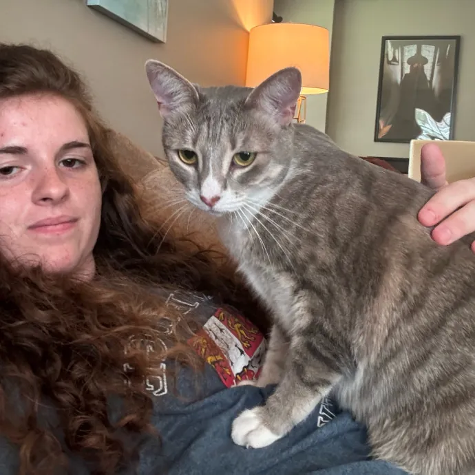 Taylor's Catcare