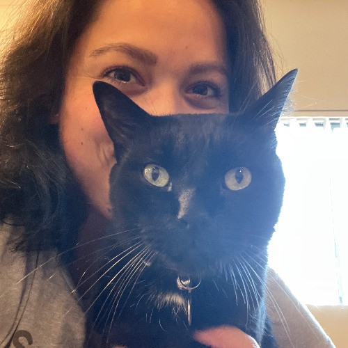 Paw-Sitively Purr-Sonalized Kitty Care