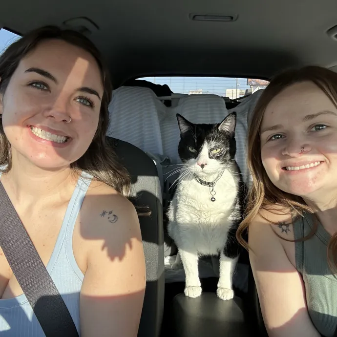 Crazy Cat Lady photo 4