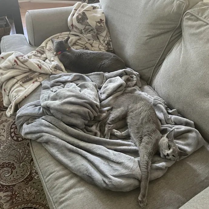 Vivi The Kitty Lover photo 3