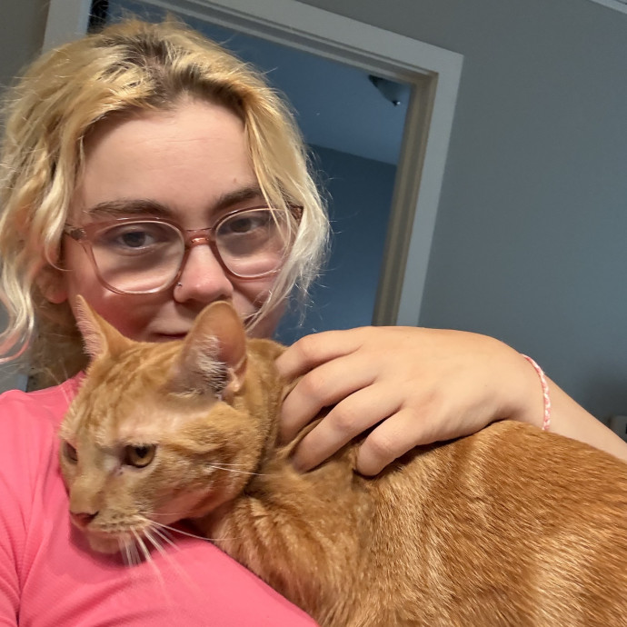 I Love Cats More Than People