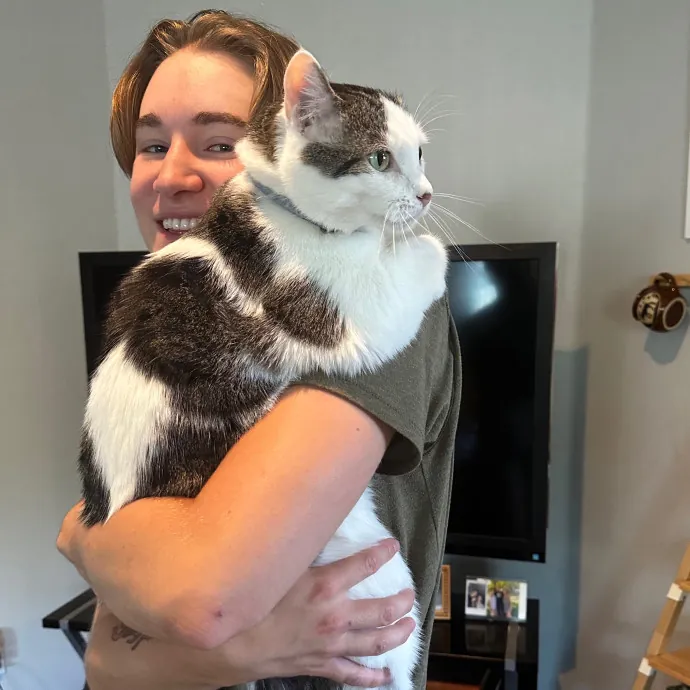 Lyd's Loving Kitty Care