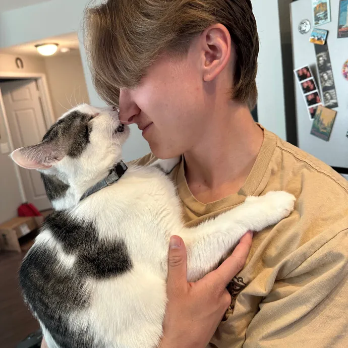 Lyd's Loving Kitty Care