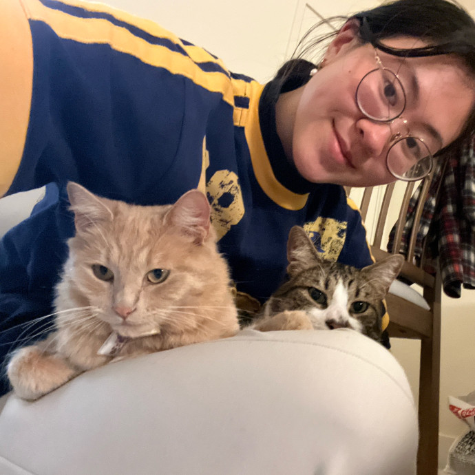 Your Kitty's Favourite Aunty