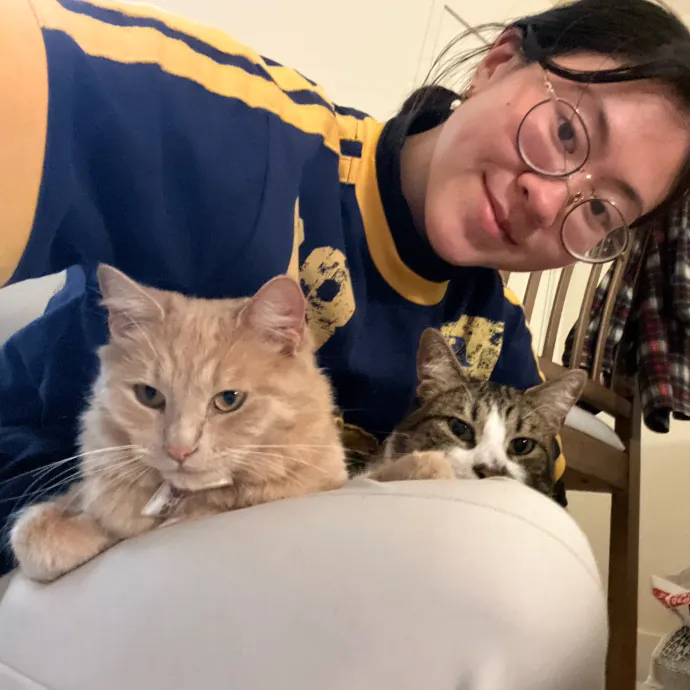 Your Kitty's Favourite Aunty