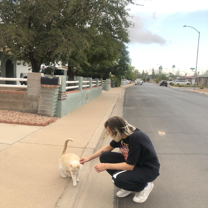 Compassionate Cat Sitter