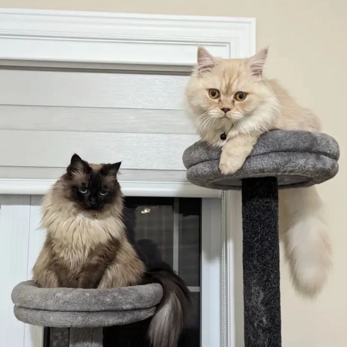 Jessica K.