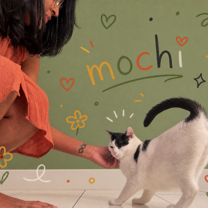 Experienced Cat Lover
