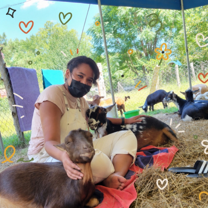 Experienced Cat Lover photo 2