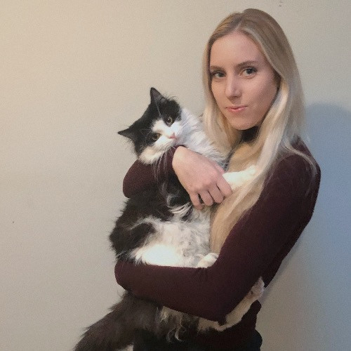 Purrfectly Graceful Cat Care