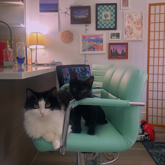 Purrfectly Graceful Cat Care