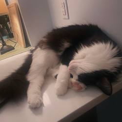 Photo #1 Photo #1