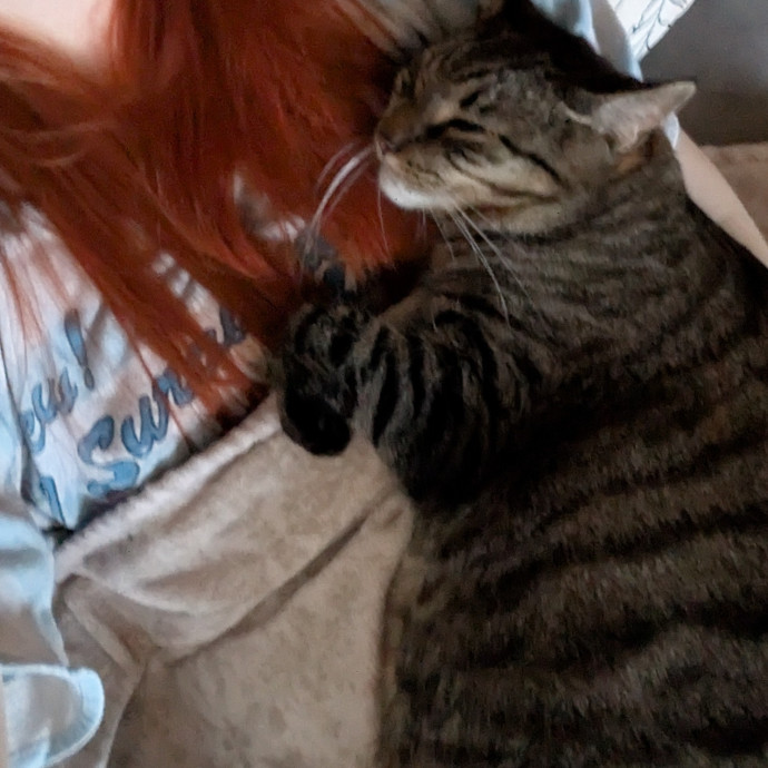 Your Cat's New Favorite Auntie