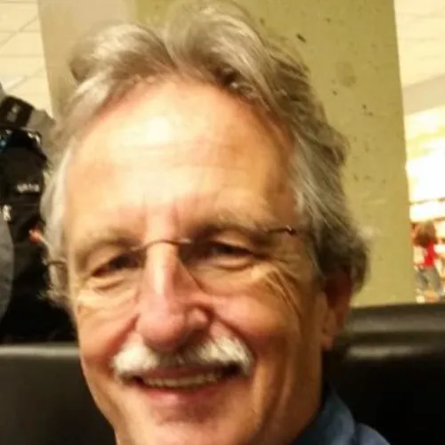 For The Love Of Cat Sitting