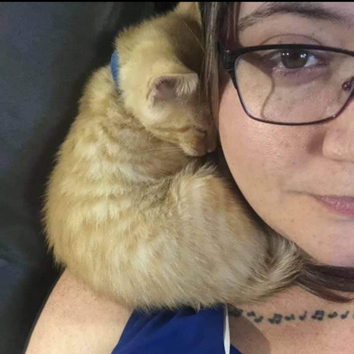 Nena's Exceptional Cat Care